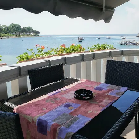 Sea Balcony Apartment Savudrija