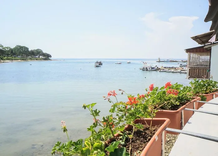 Sea Balcony 아파트 *