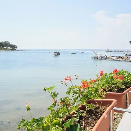 Sea Balcony דירה *