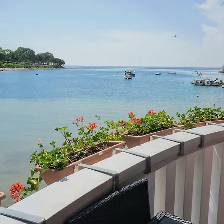 Sea Balcony דירה *